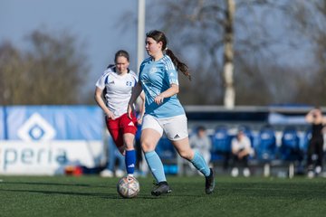 Bild 306 - F Hamburger SV 3 - Blau-Weiss 96 : Ergebnis: 5:1